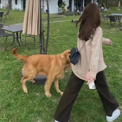 变人